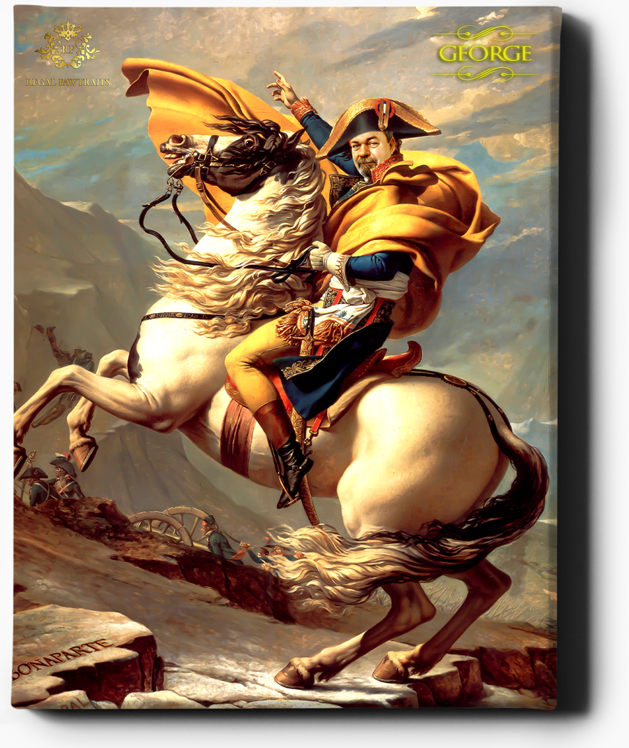 Napoleon - Regal Pawtraits